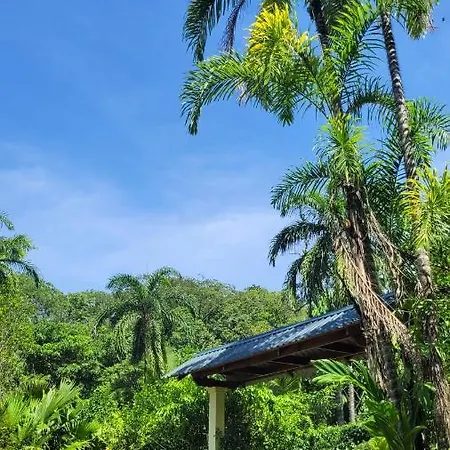 Osos Caribenos - With Garden - 400M From The Beach Punta Uva Exterior photo