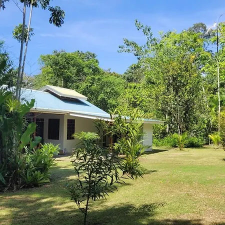 Osos Caribenos - With Garden - 400M From The Beach Punta Uva Exterior photo