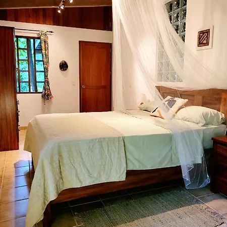 Osos Caribenos - With Garden - 400M From The Beach Punta Uva Exterior photo