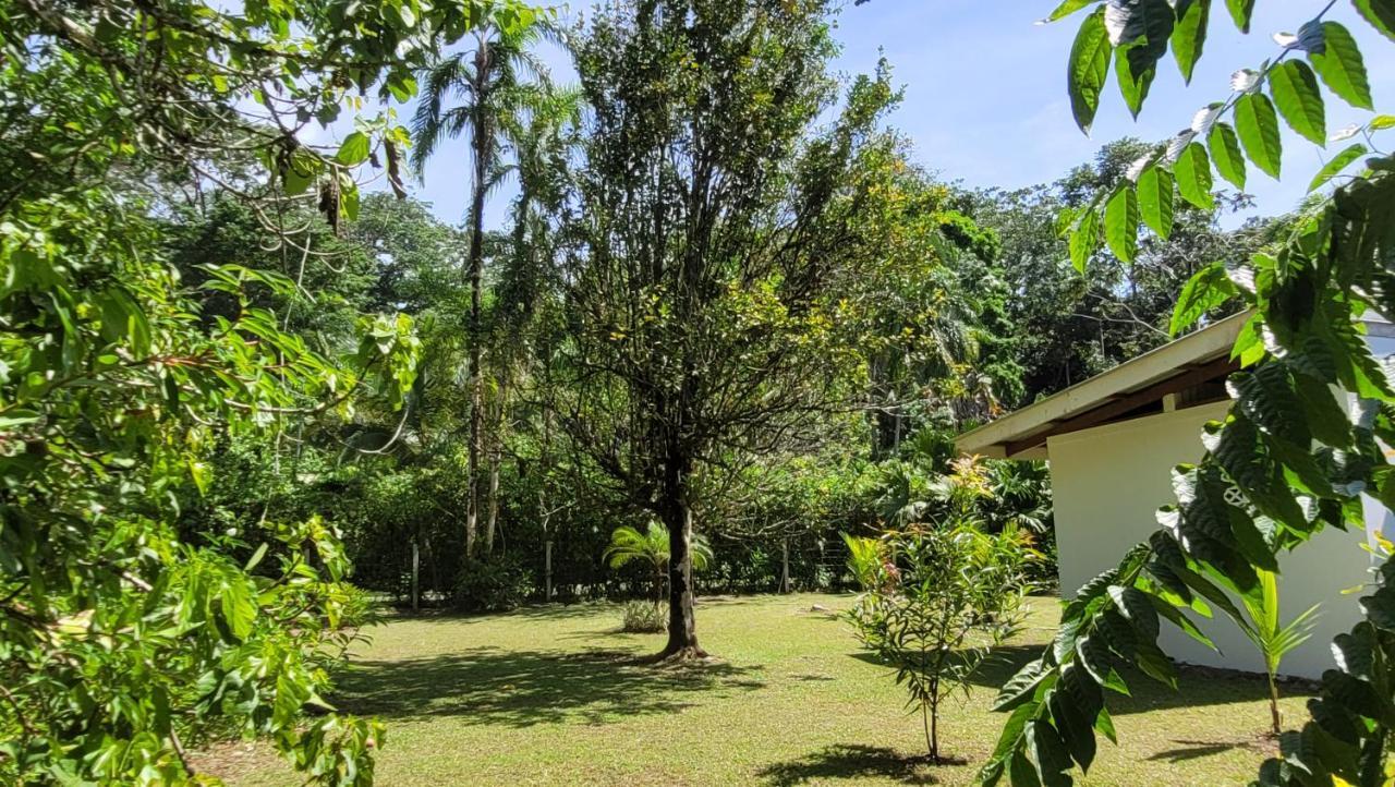 Osos Caribenos - With Garden - 400m From The Punta Uva