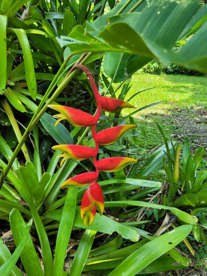 Сasa de vacaciones Osos Caribenos - With Garden - 400m From The